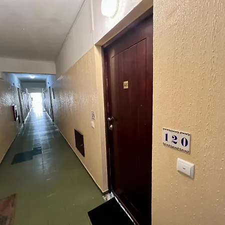 10 By Homing アルブフェイラ